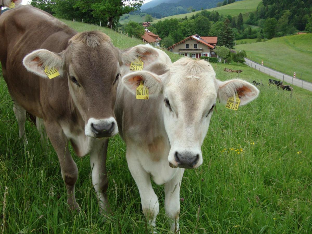 Ferienwohnungen Weixler Schindelberg Oberstaufen Exteriör bild